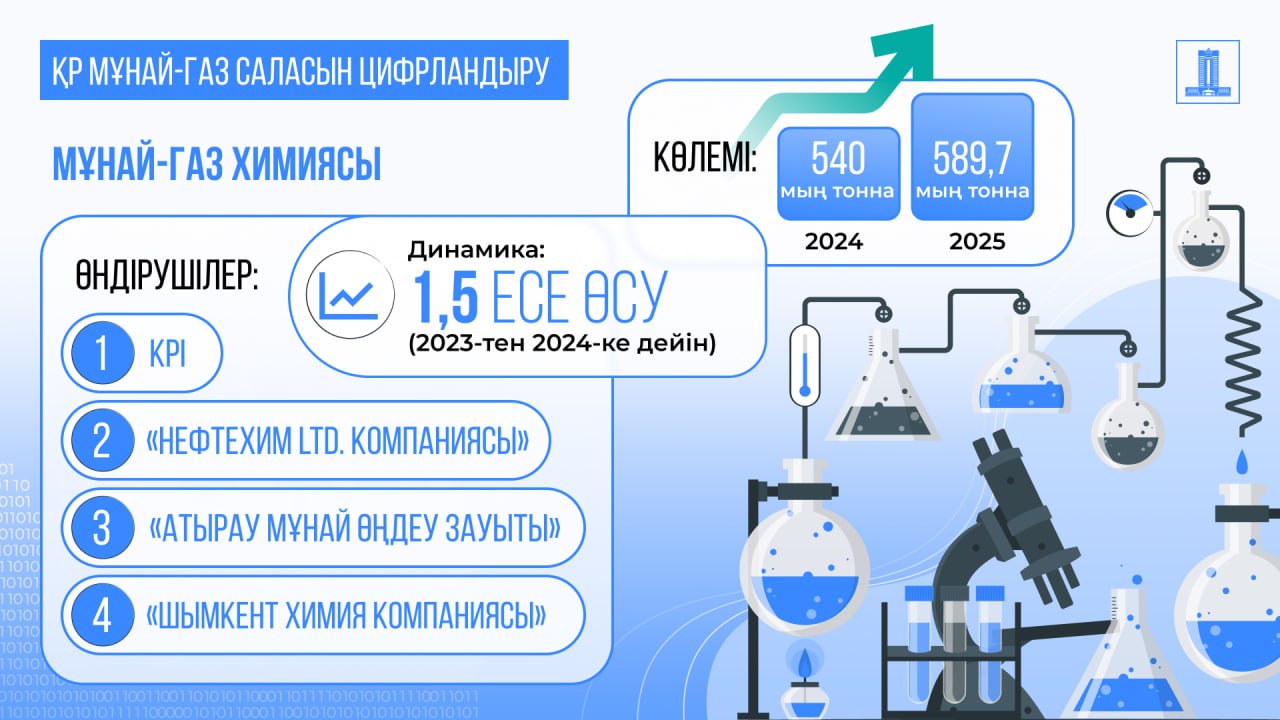 2025 жылы мұнай-газ химиясы өндірісінің көлемі 589,7 мың тоннаға дейін өседі – Энергетика министрлігі